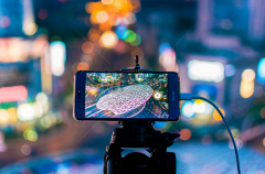 水產(chǎn)品品牌營(yíng)銷策劃四要點(diǎn)