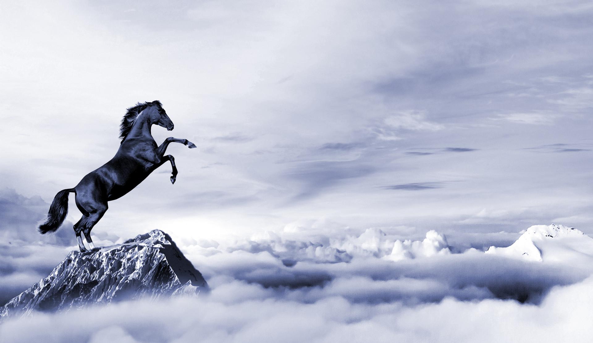 競爭戰(zhàn)略策劃之打造優(yōu)秀產(chǎn)品應(yīng)用標(biāo)準(zhǔn)三法