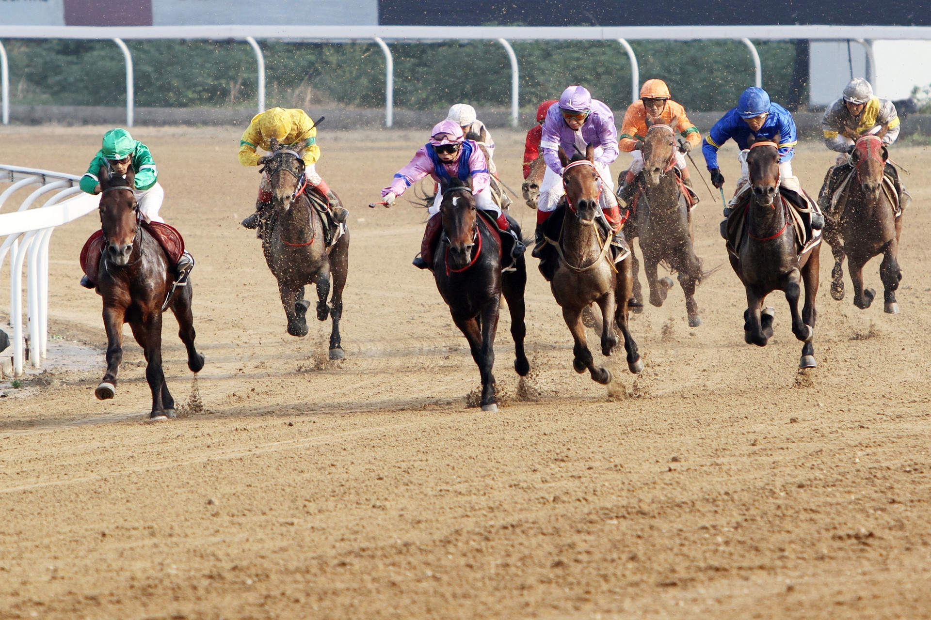 數(shù)字零售新增長之賽馬式增長三步